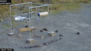The kea gym meant to keep the birds busy and off the road. Photo credit: NZTransportAgency